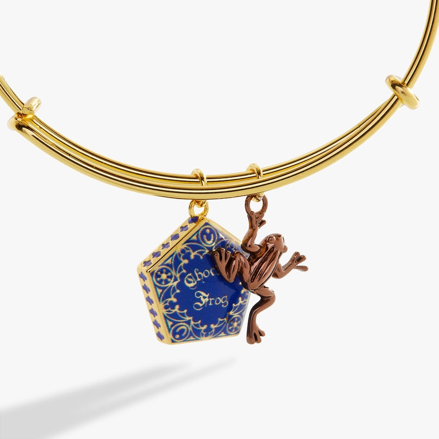 Harry Potter Chocolate Frog 2-Charm Bangle Bracelet