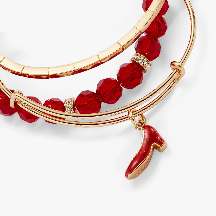 Wizard of Oz Dorothy set of 3 Bangles