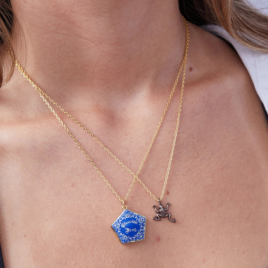 Harry Potter Chocolate Frog Necklace set of 2