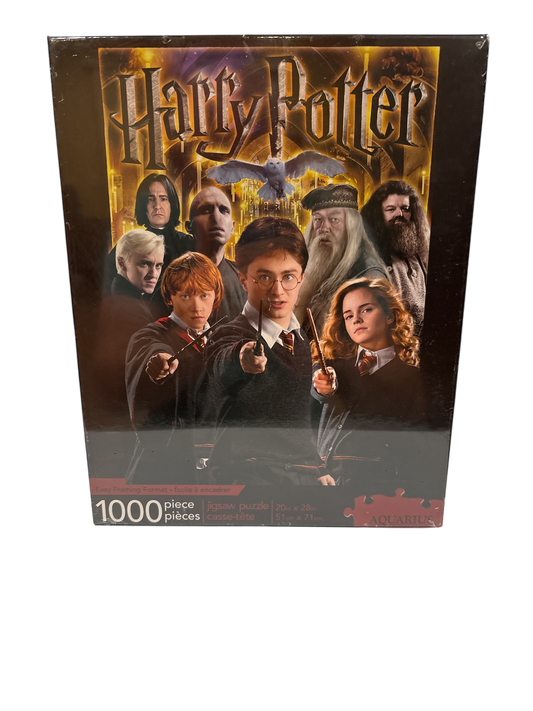 Harry Potter Cast of Films 1000 piece Puzzle