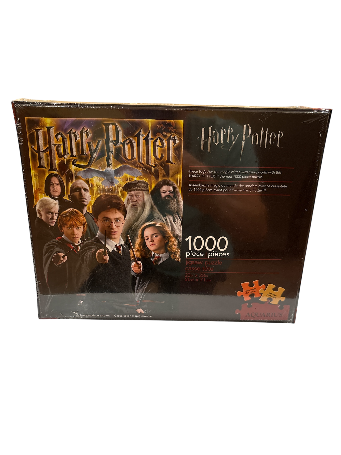 Harry Potter Cast of Films 1000 piece Puzzle