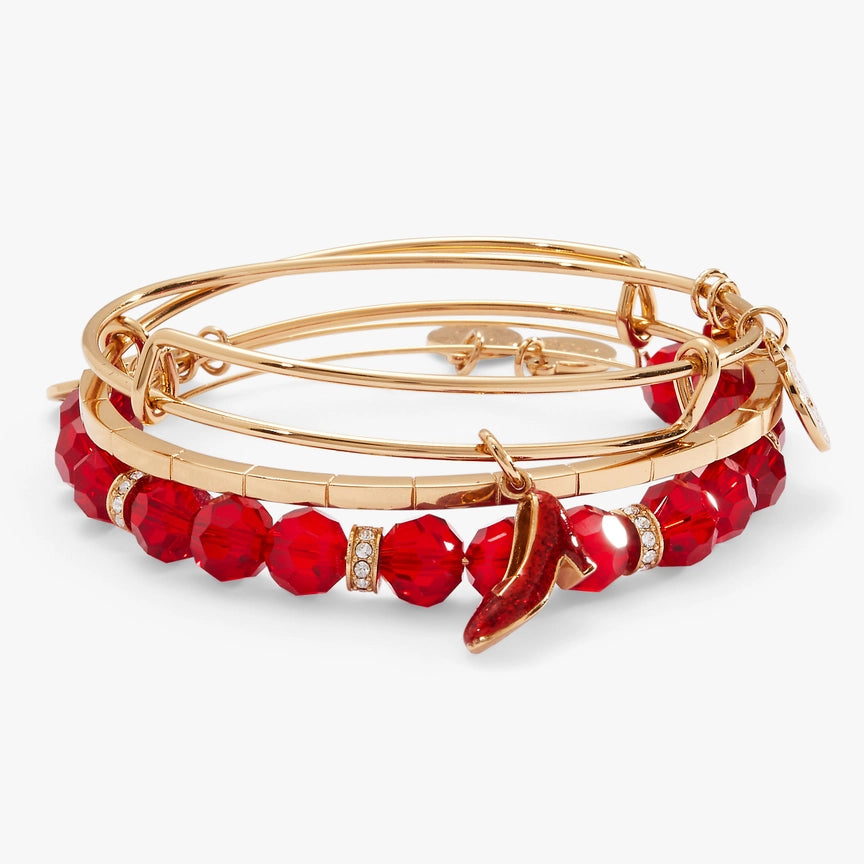 Wizard of Oz Dorothy set of 3 Bangles