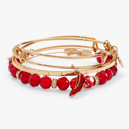 Wizard of Oz Dorothy set of 3 Bangles